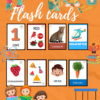 Kids Flashcards Box